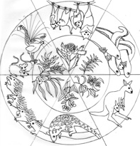 D’harawal Annual Seasons – Perpetual Calendar and&nbsp;poster